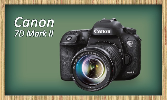Canon 7D