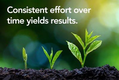 Development Of Seedling Growth Planting Seedlings Young Plant In